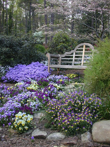 Bench purple perennials annuals side yard